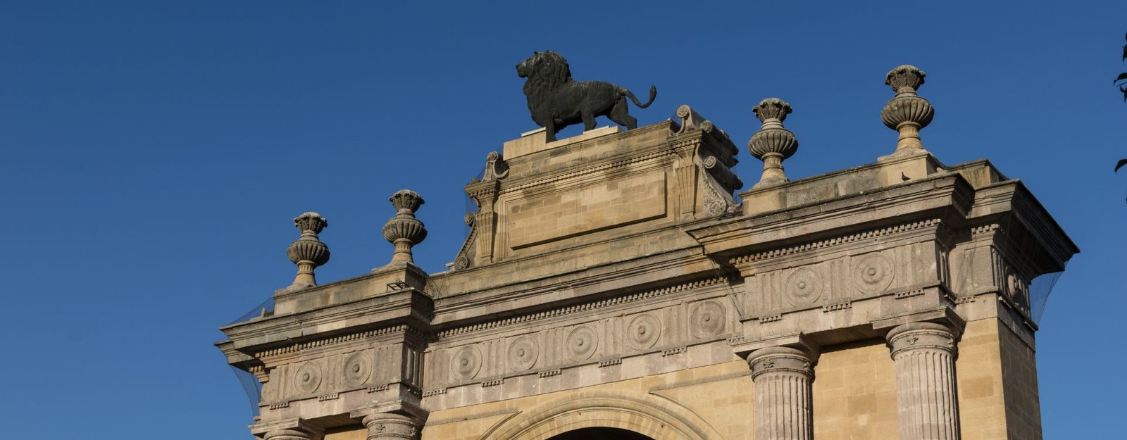 Renta de Autos en León